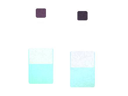 Esco Bars Berry Recycling and Disposal Checklist 2026