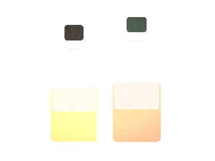 Esco Bars Citrus 4: Warehouse Layout Planning for Distributors