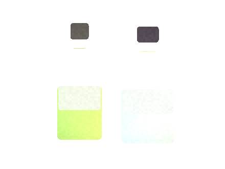 Esco Bars Citrus Mini Shelf Merchandising Checklist 2026