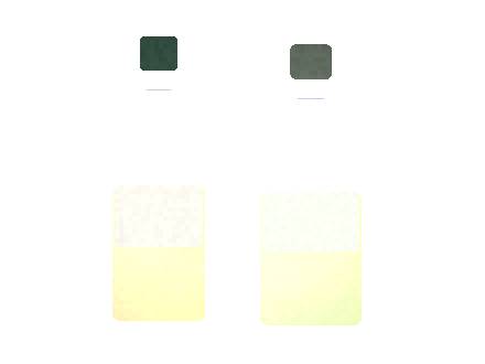 Esco Bars Citrus X Wholesale Buying Guide Checklist 2026