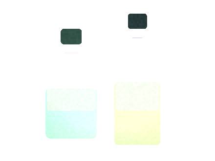 Esco Bars Esco 4: New Market Entry Checklist for Distributors