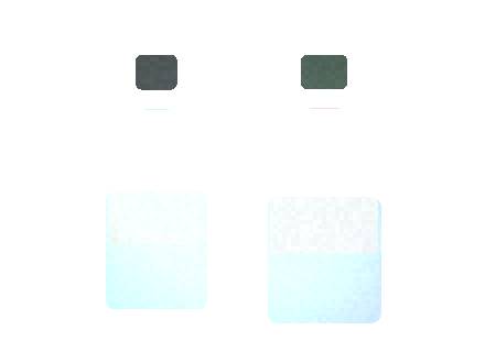 Esco Bars Esco Max New Market Entry Checklist Checklist 2026