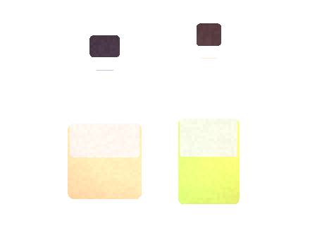 Esco Bars Esco Plus: Flavor Portfolio for Distributors