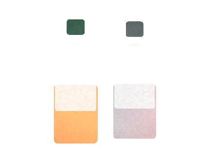 Esco Bars Fruitia: Flavor Portfolio for Distributors
