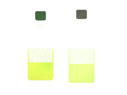Esco Bars Mesh GT Shelf Merchandising Checklist 2026