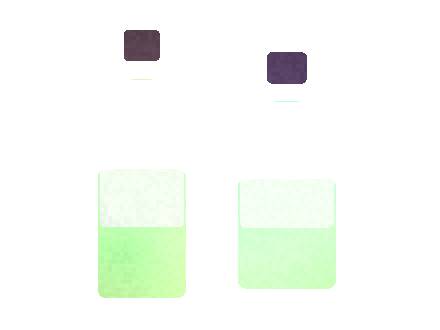 Esco Bars Pirate S: Model Comparison for Distributors