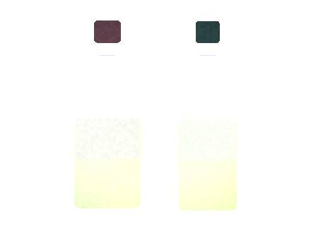 Esco Bars Prime 4 Nicotine Strength Options Checklist 2026