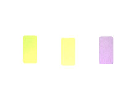 Flavor Pairing Ideas Guide for Esco Bars Berry X