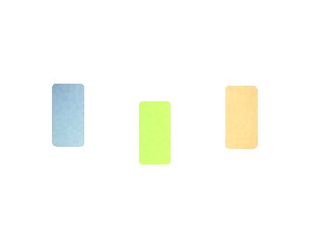 Supplier Audit Checklist Guide for Esco Bars Citrus Pro
